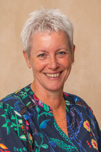 Gerry Lippes